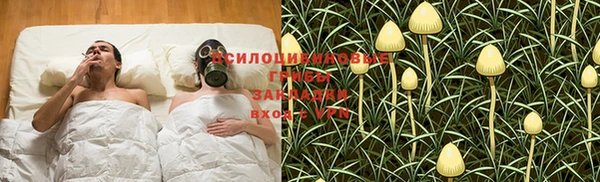 стаф Алексин